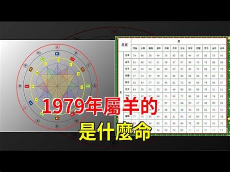 1979年五行屬什麼|【1979屬什麼】1979屬什麼？五行怎麼看？速配對象是誰？